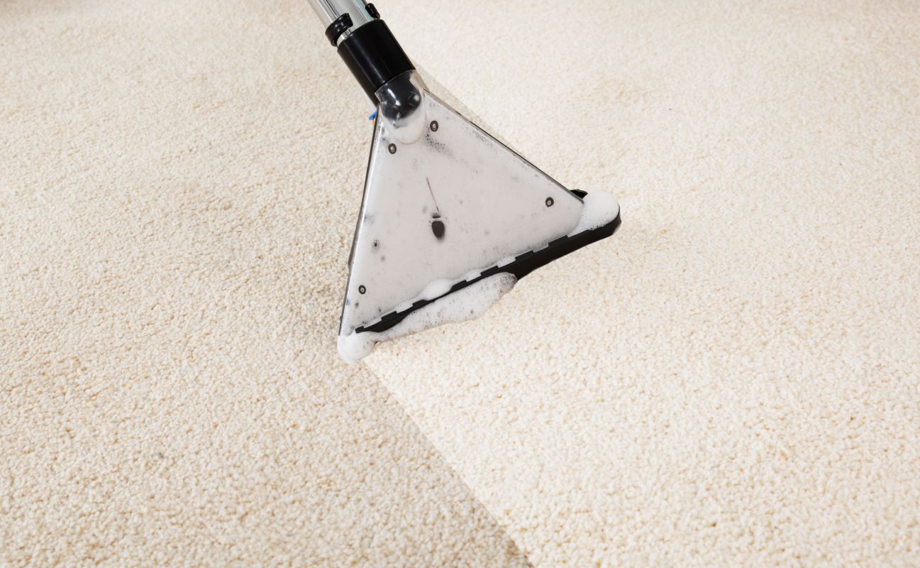 Teppichreinigung mit einem speziellen Gerät - Express Teppichreinigung